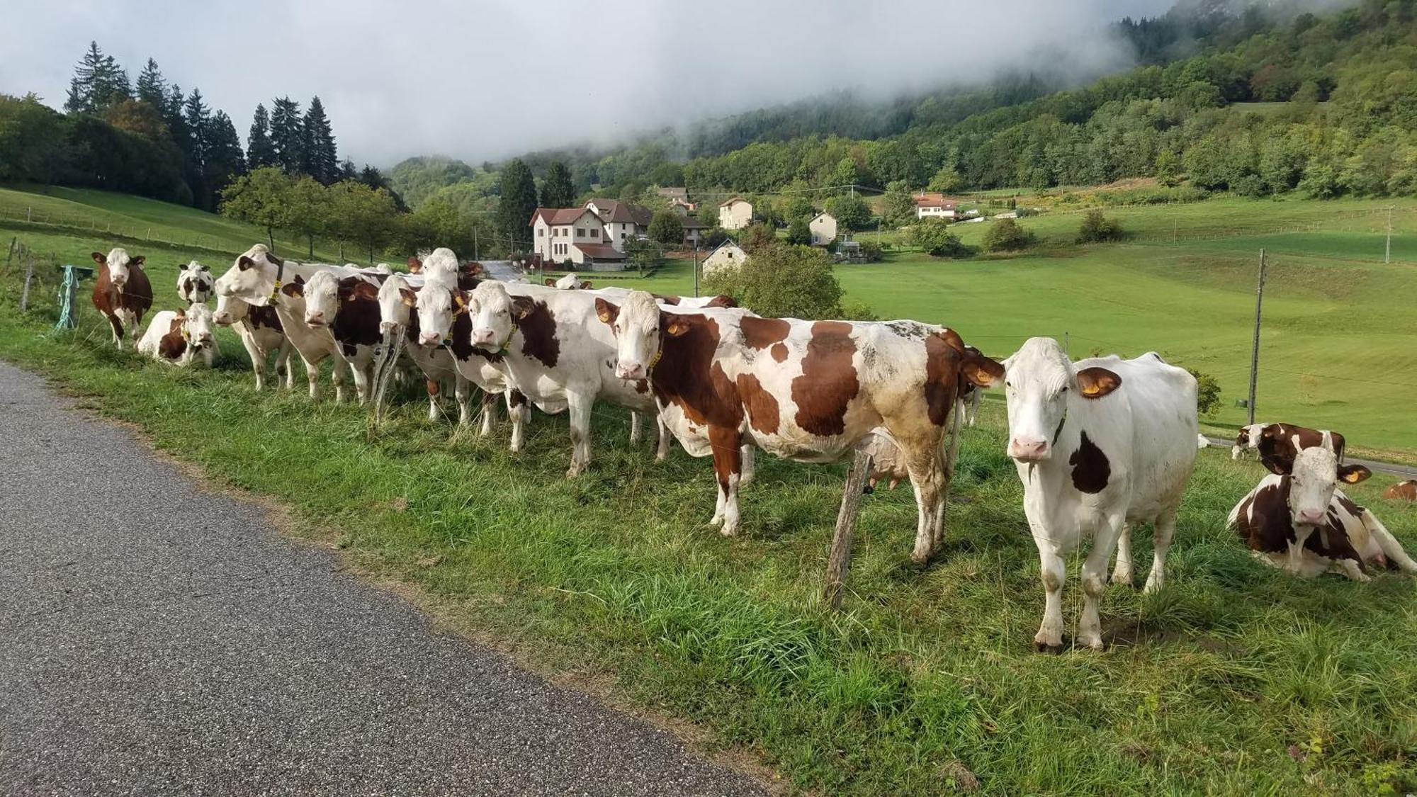 Un Pied Devant L'Autre Sainte-Marie-D'Alvey Экстерьер фото
